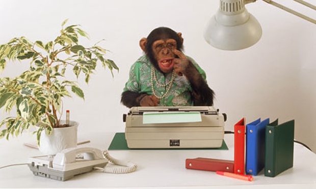 blogging monkey